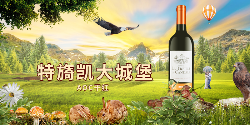 【男士精品】波尔多~你无法抵挡的美味-挑酒网